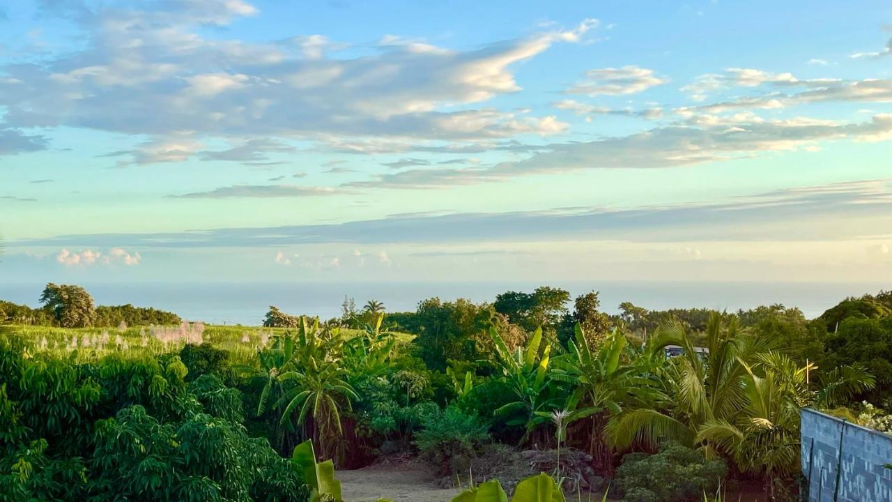 Les Villas De La Ligne Des Bambous Ravine des Cabris Buitenkant foto