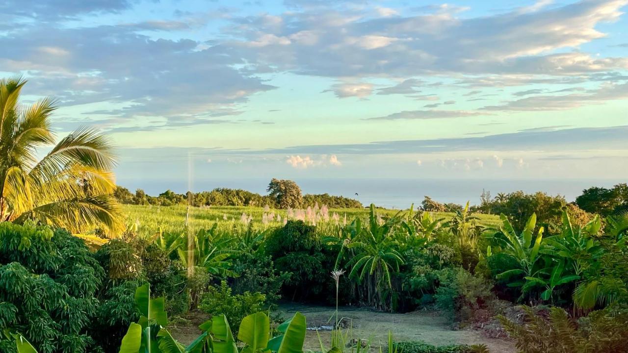 Les Villas De La Ligne Des Bambous Ravine des Cabris Buitenkant foto
