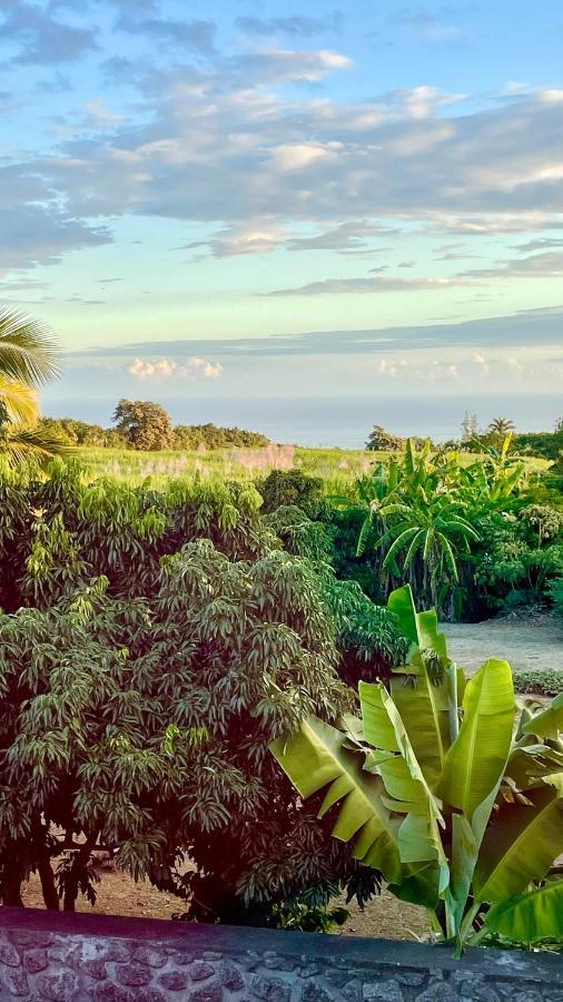 Les Villas De La Ligne Des Bambous Ravine des Cabris Buitenkant foto